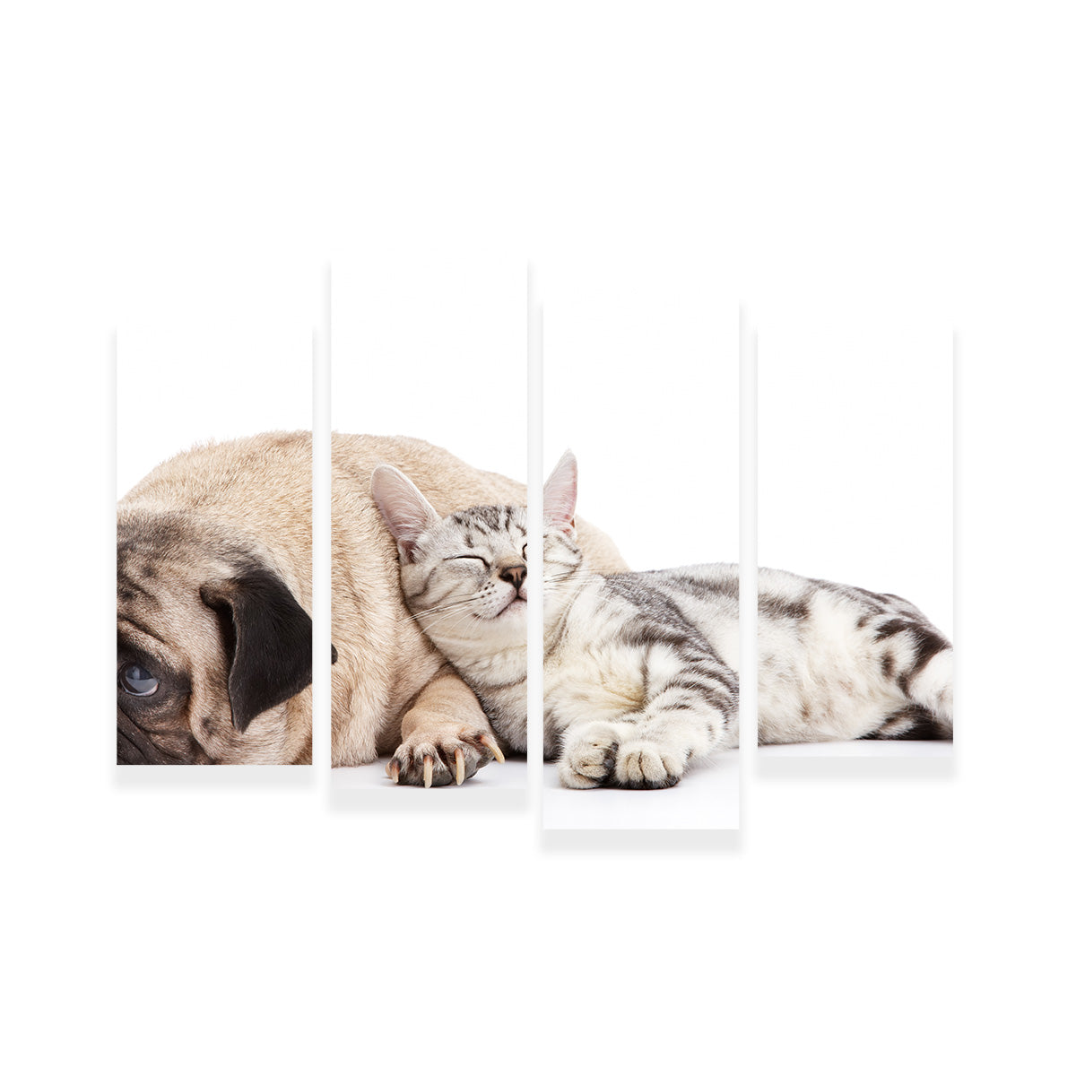 Pug and Cat Wall Art