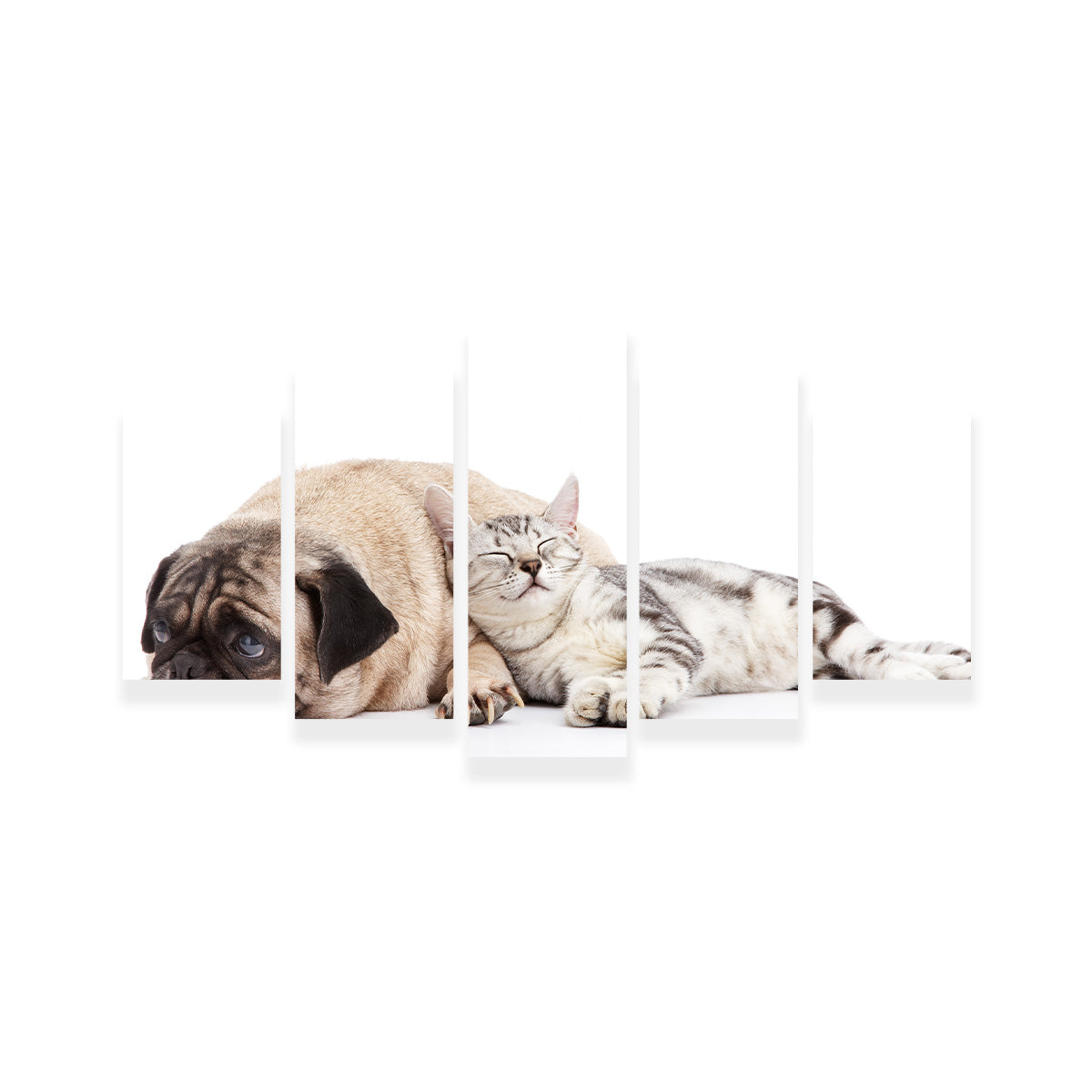 Pug and Cat Wall Art