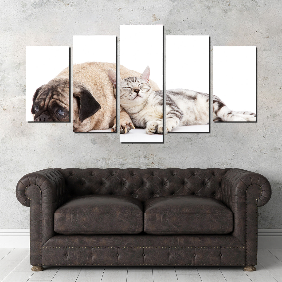 Pug and Cat Wall Art
