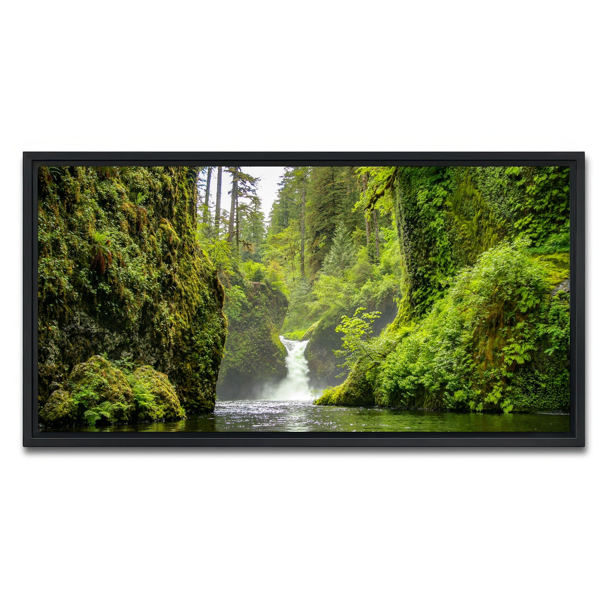 AUTO-MOCKUP WHITE | Punch bowl Falls | 1 Piece | Black Framed Canvas | group=2x1