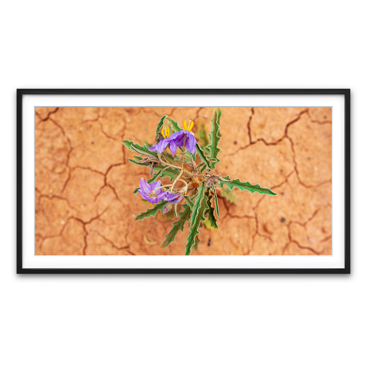 Framed Print 2x1 Black