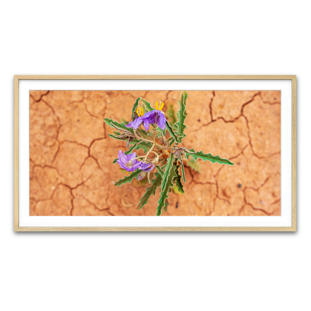 Framed Print 2x1 Natural