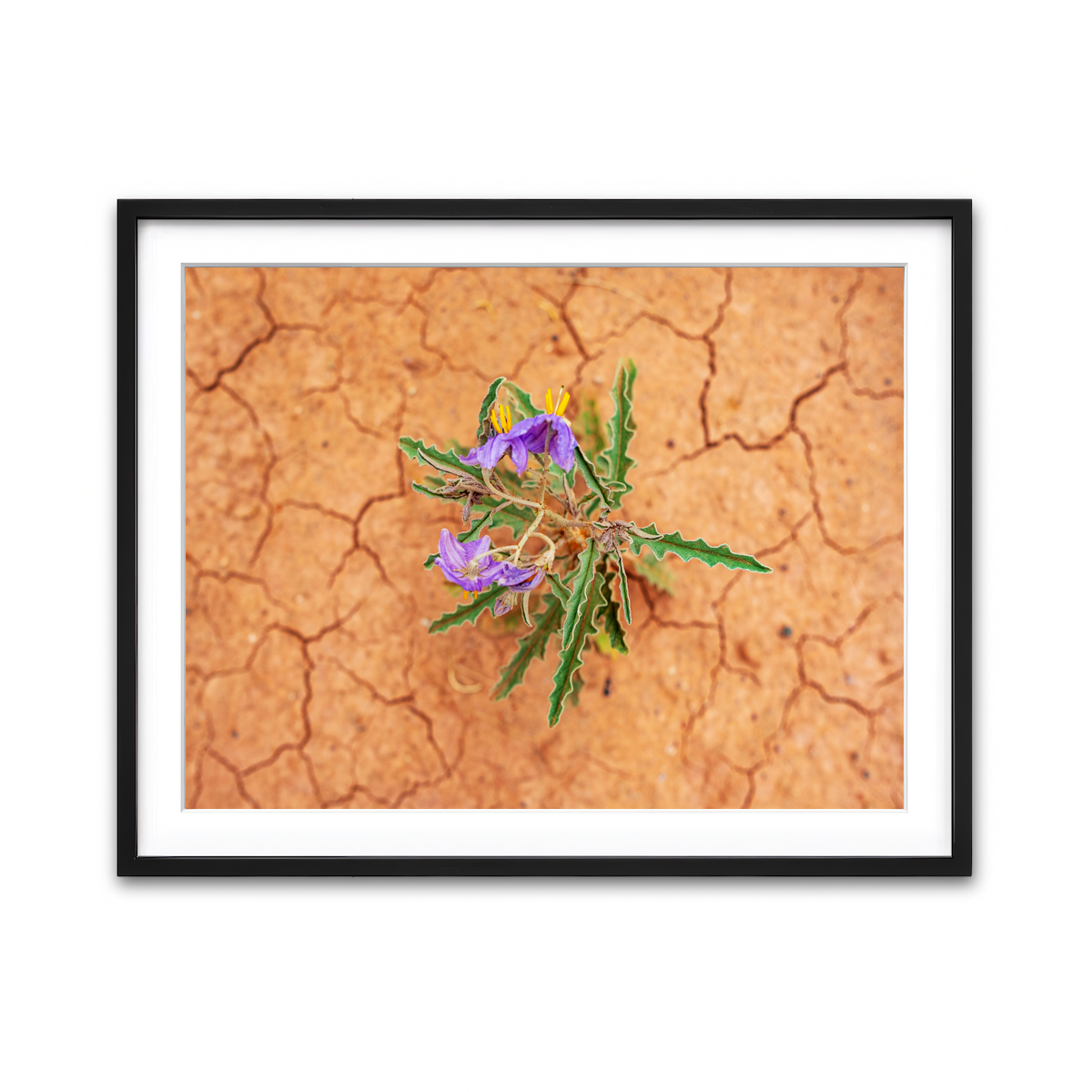 Framed Print 4x3 Black