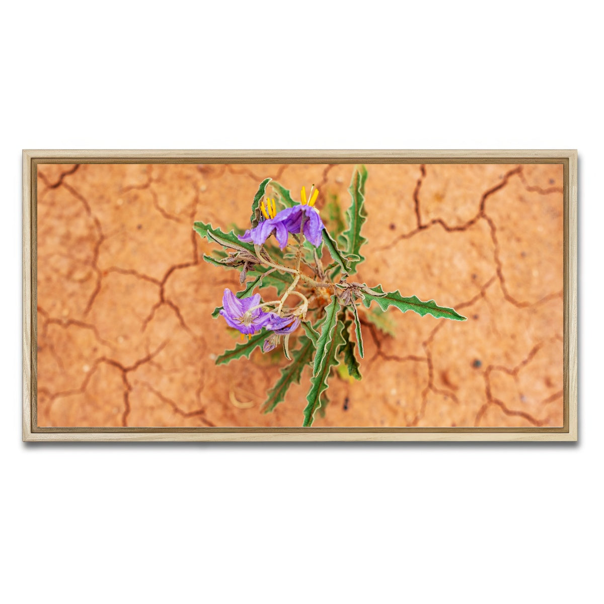 AUTO-MOCKUP WHITE | Purple Desert Wild Flowers | 1 Piece | Natural Framed Canvas | group=2x1