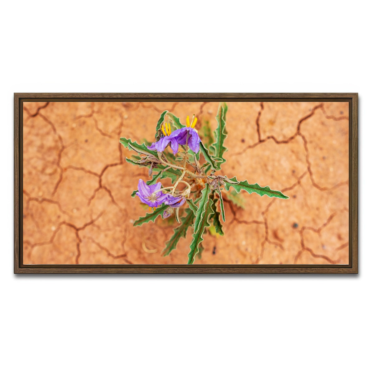 AUTO-MOCKUP WHITE | Purple Desert Wild Flowers | 1 Piece | Walnut Framed Canvas | group=2x1