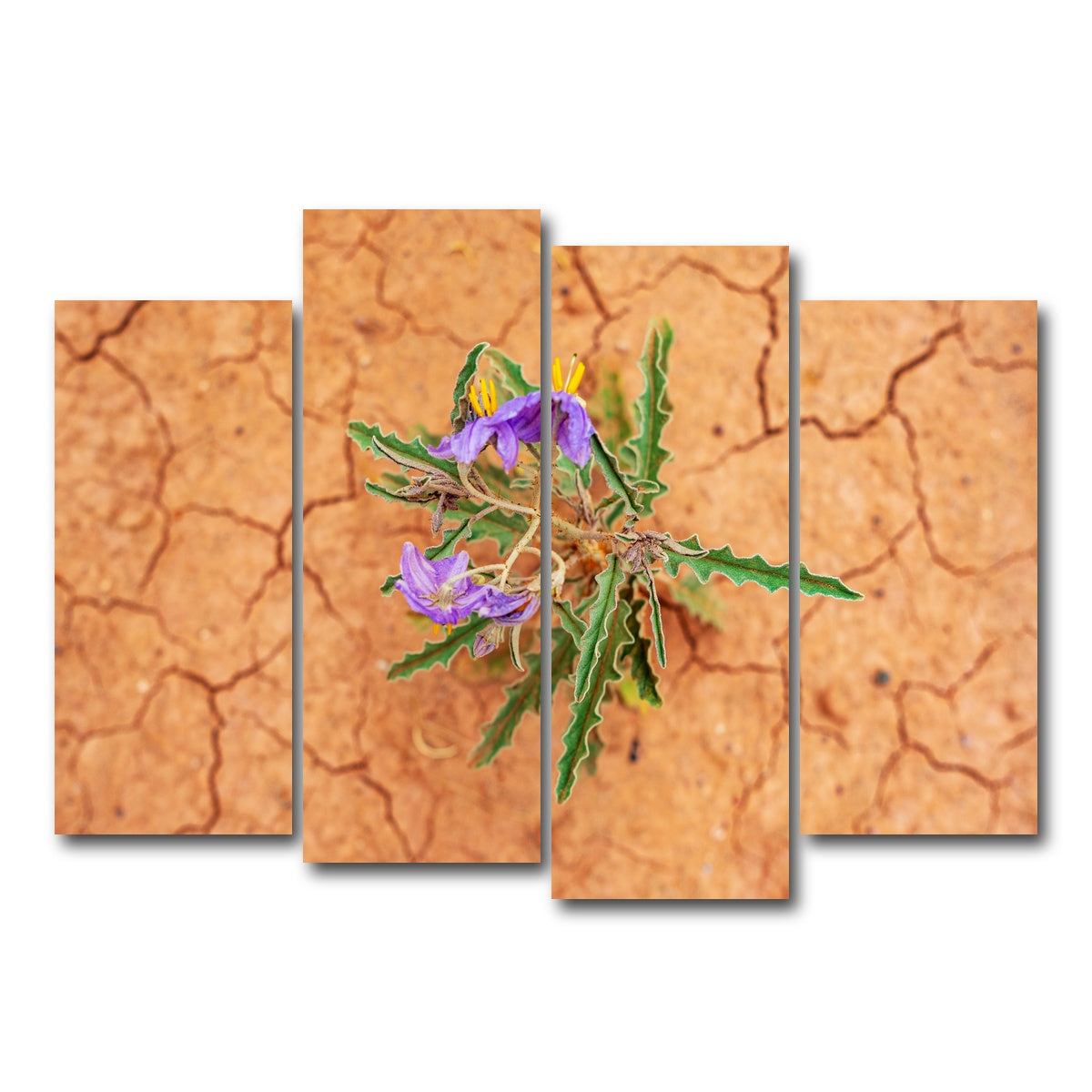 AUTO-MOCKUP WHITE | Purple Desert Wild Flowers | 4 Piece | Gallery Wrap Canvas | group=4_normal