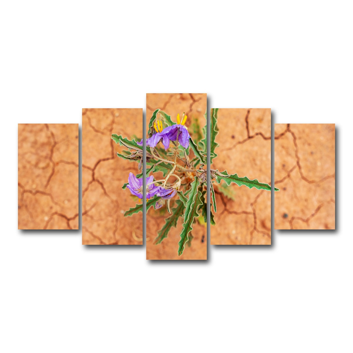 AUTO-MOCKUP WHITE | Purple Desert Wild Flowers | 5 Piece | Gallery Wrap Canvas | group=5_normal