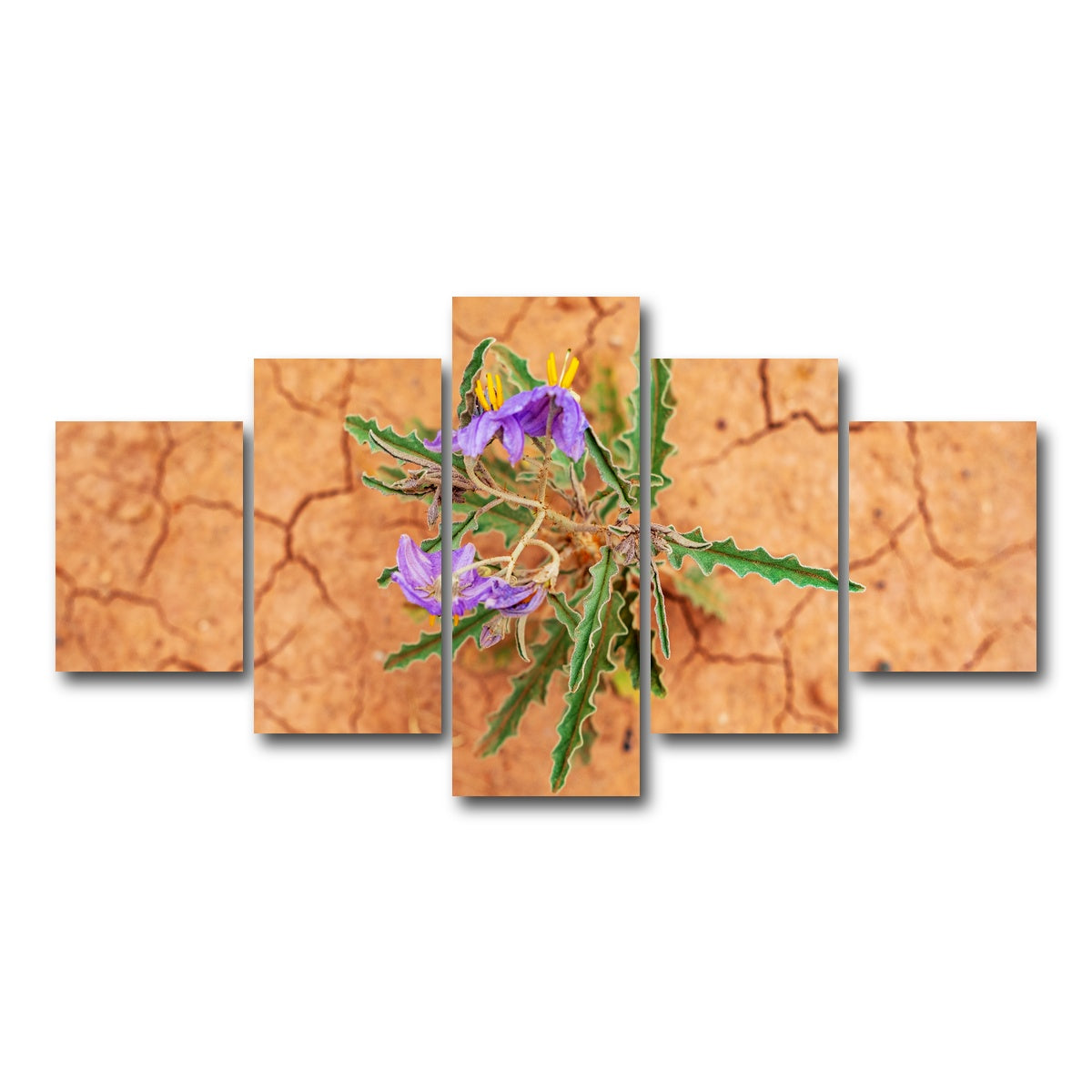 AUTO-MOCKUP WHITE | Purple Desert Wild Flowers | 5 Piece | Gallery Wrap Canvas | group=5_short