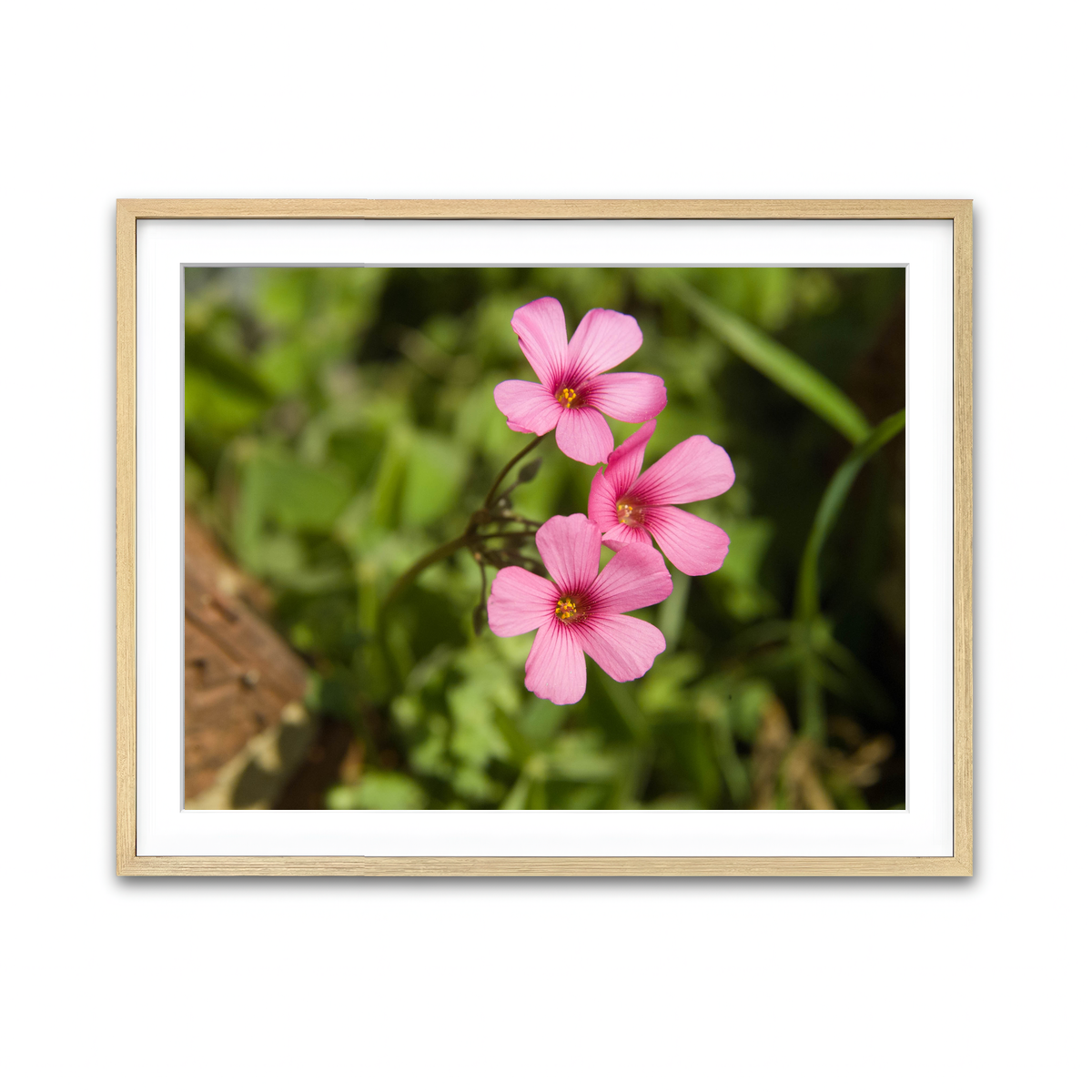 Framed Print 4x3 Natural