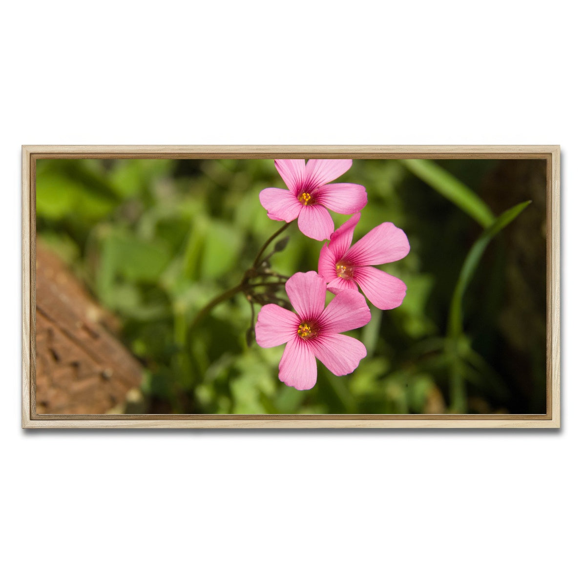 AUTO-MOCKUP WHITE | Purple Wildflower - North Arkansas | 1 Piece | Natural Framed Canvas | group=2x1