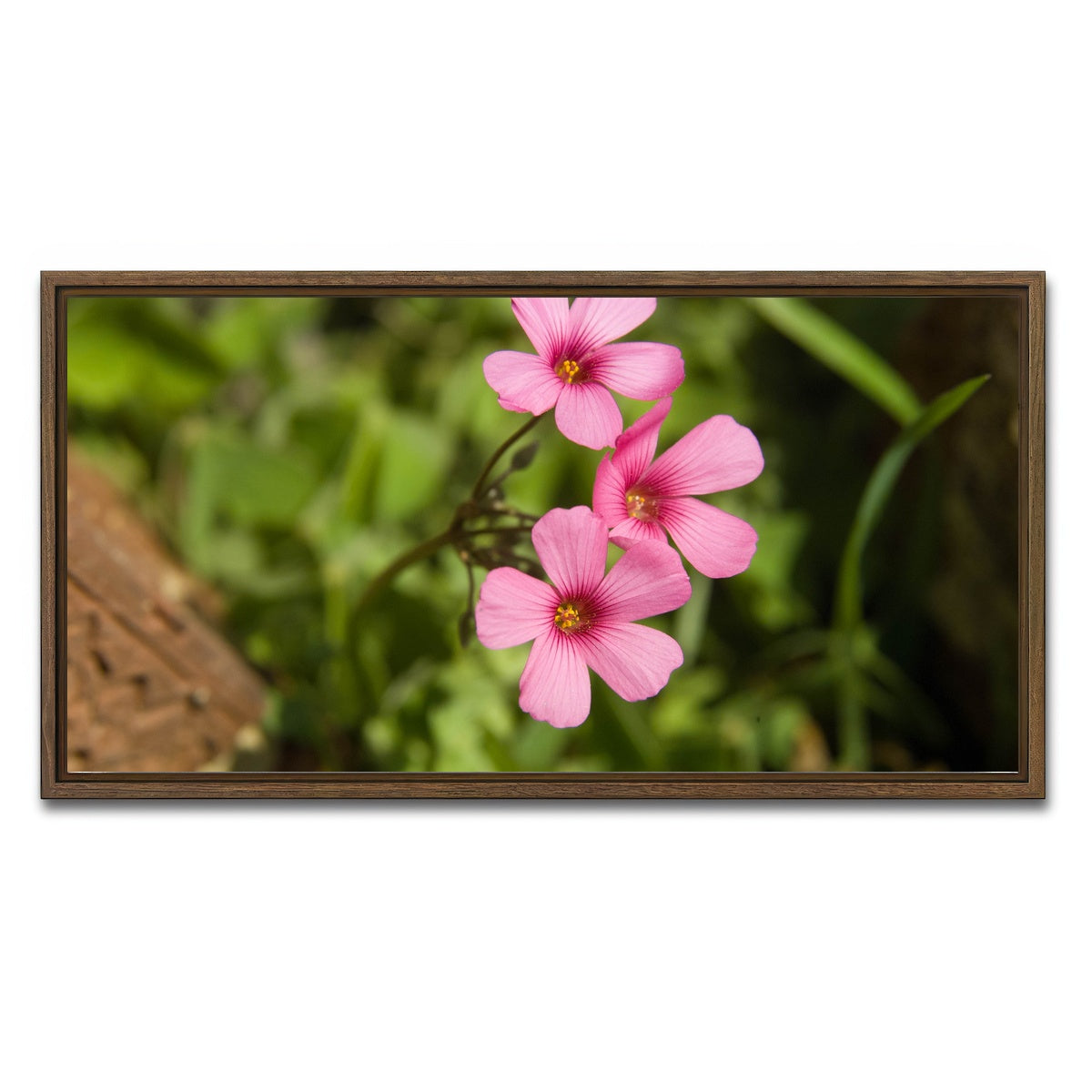 AUTO-MOCKUP WHITE | Purple Wildflower - North Arkansas | 1 Piece | Walnut Framed Canvas | group=2x1