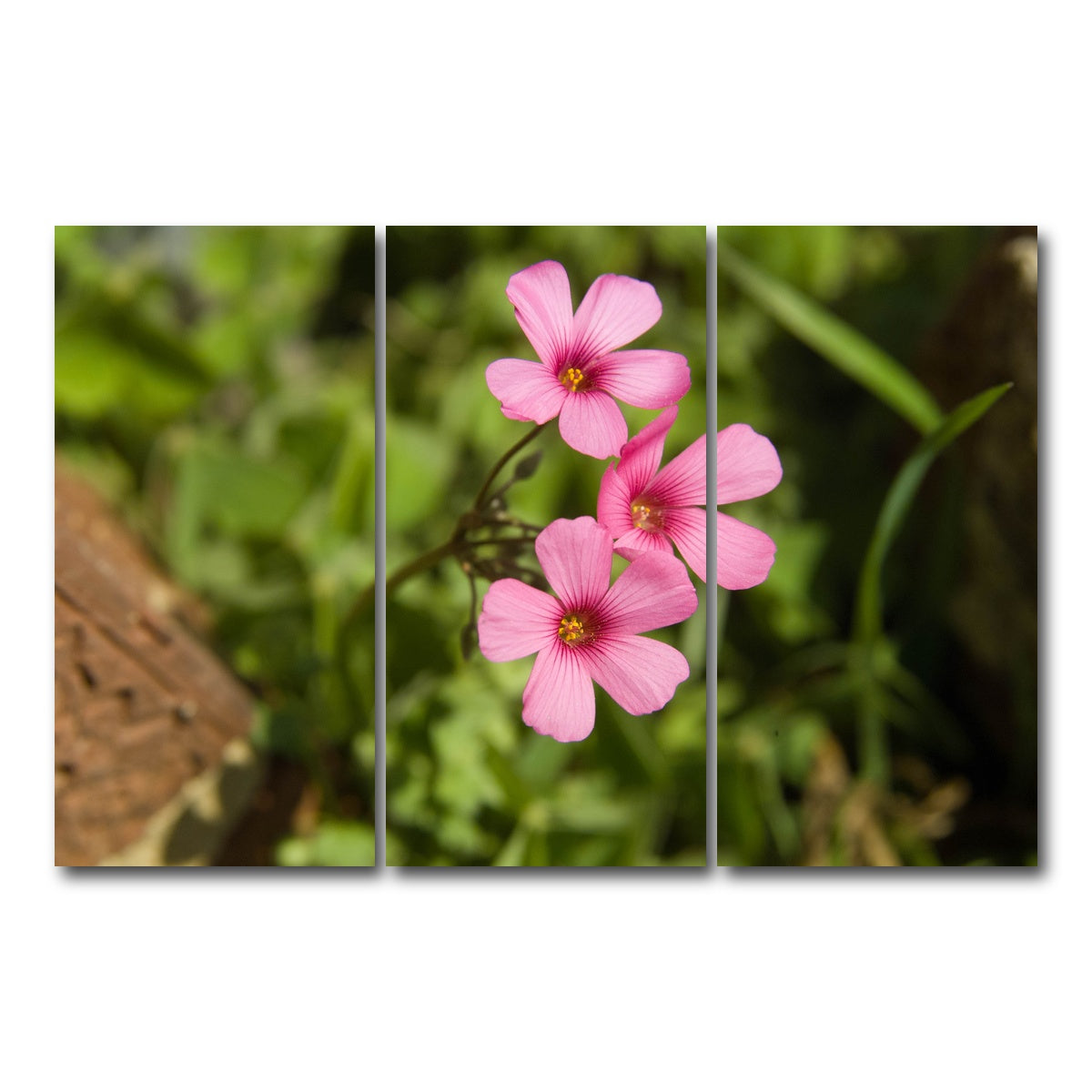 AUTO-MOCKUP WHITE | Purple Wildflower - North Arkansas | 3 Piece | Gallery Wrap Canvas | group=12x24