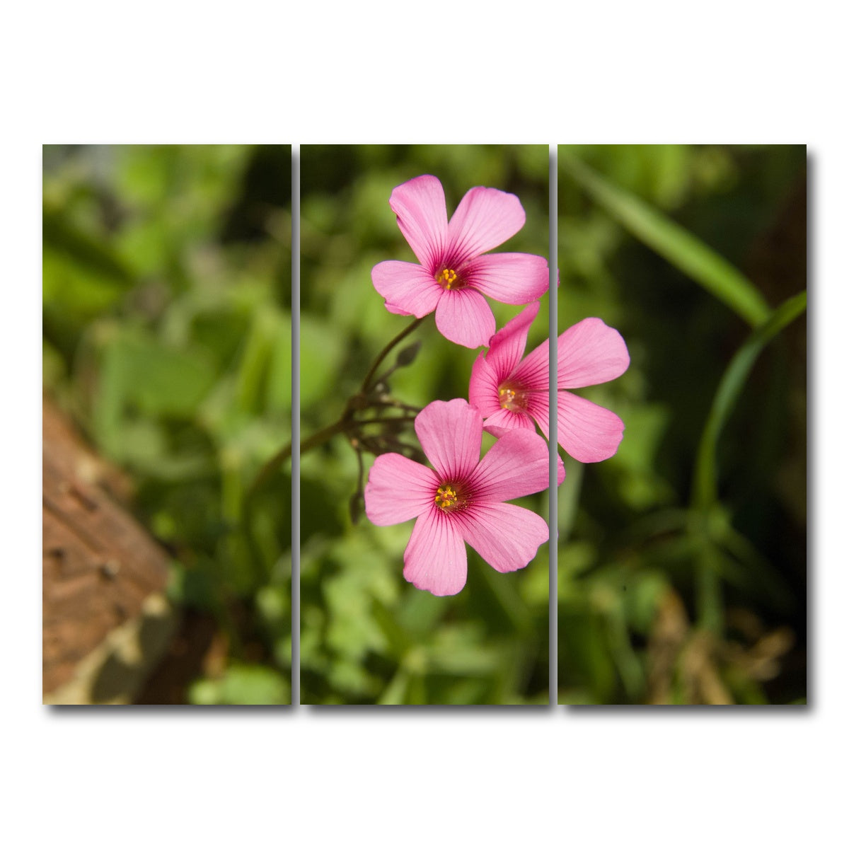 AUTO-MOCKUP WHITE | Purple Wildflower - North Arkansas | 3 Piece | Gallery Wrap Canvas | group=8x18