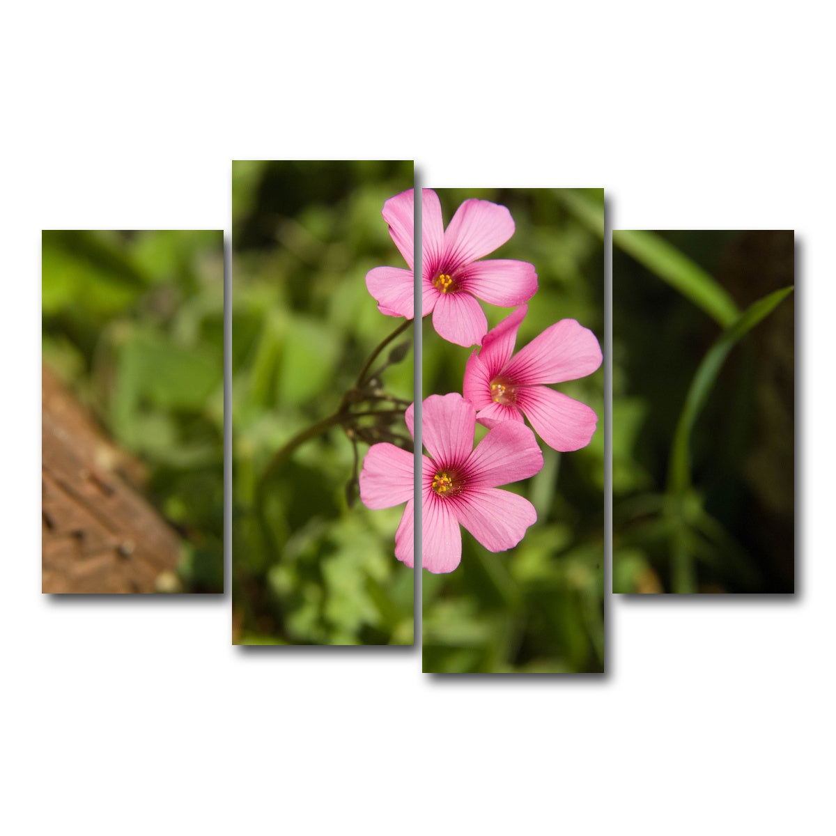 AUTO-MOCKUP WHITE | Purple Wildflower - North Arkansas | 4 Piece | Gallery Wrap Canvas | group=4_short
