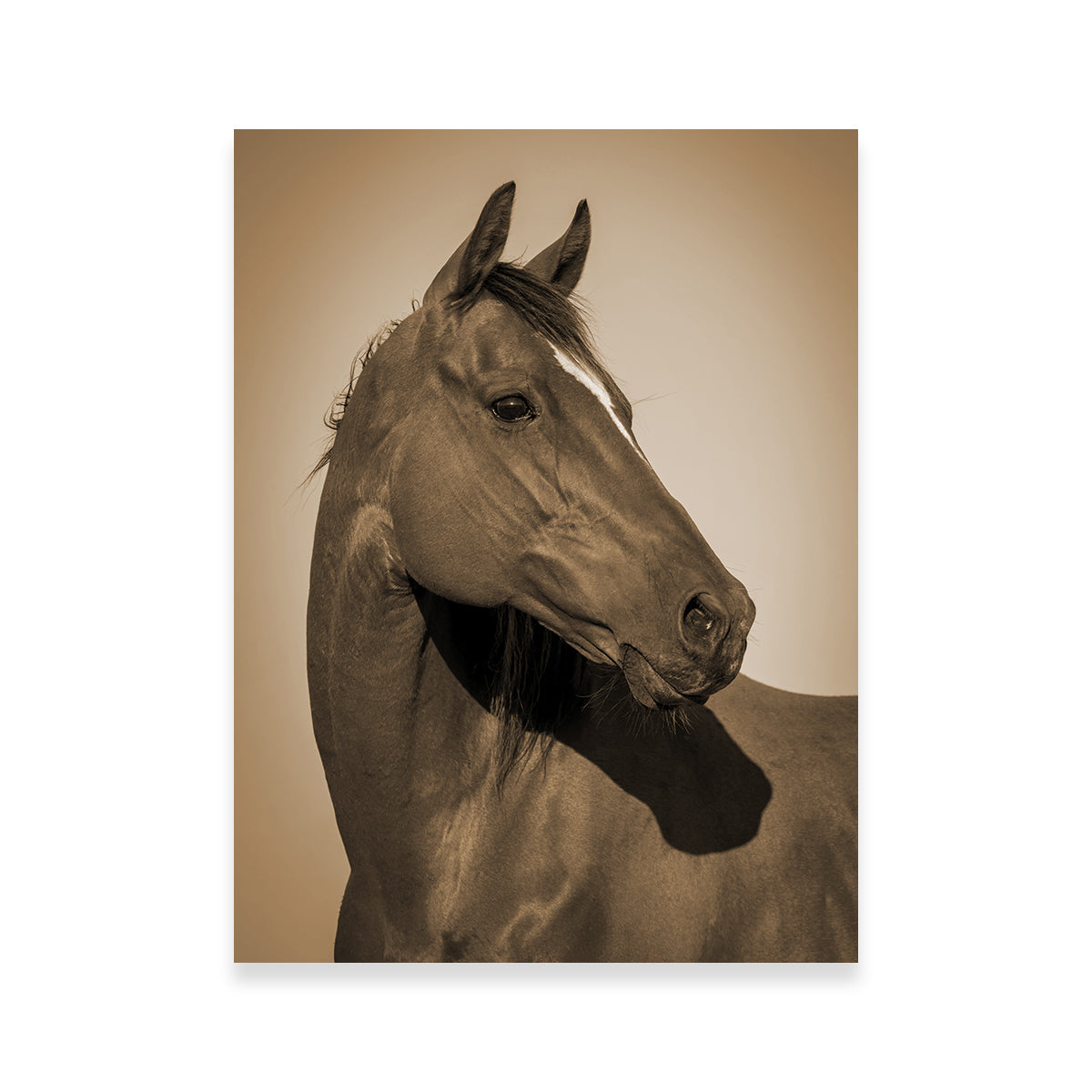 Quarter Horse Wall Art