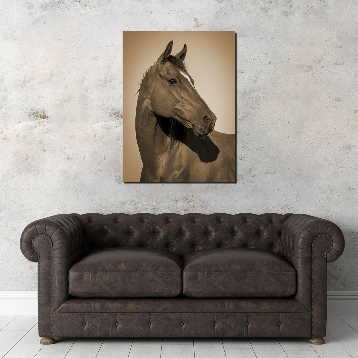 Quarter Horse Wall Art