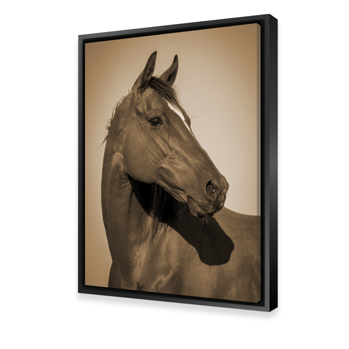 Quarter Horse Wall Art