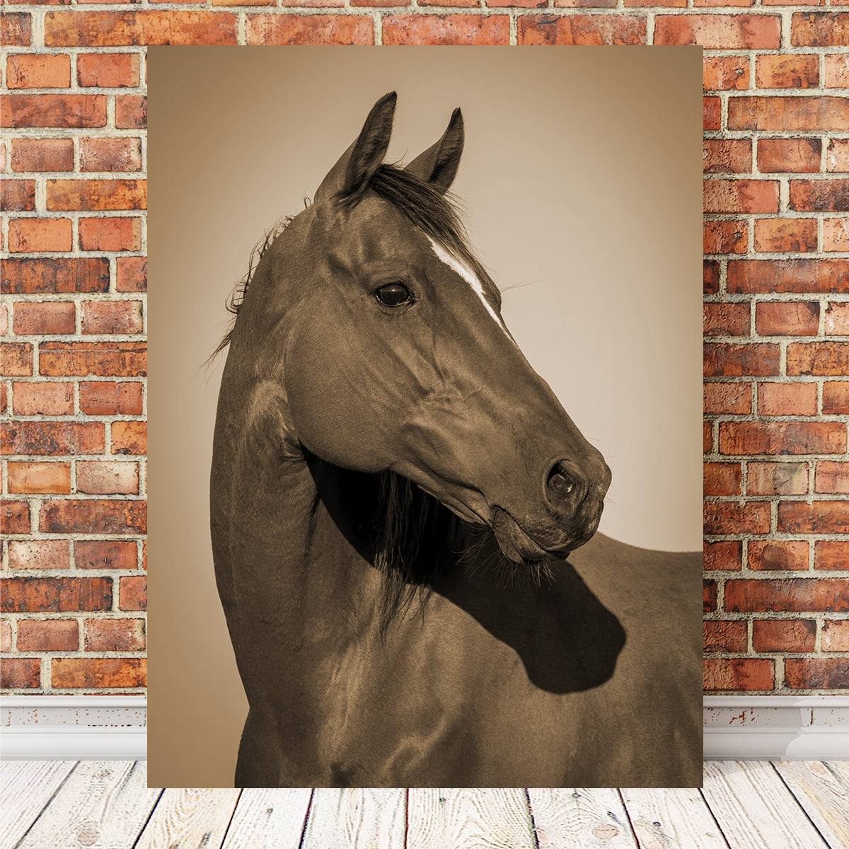 Quarter Horse Wall Art