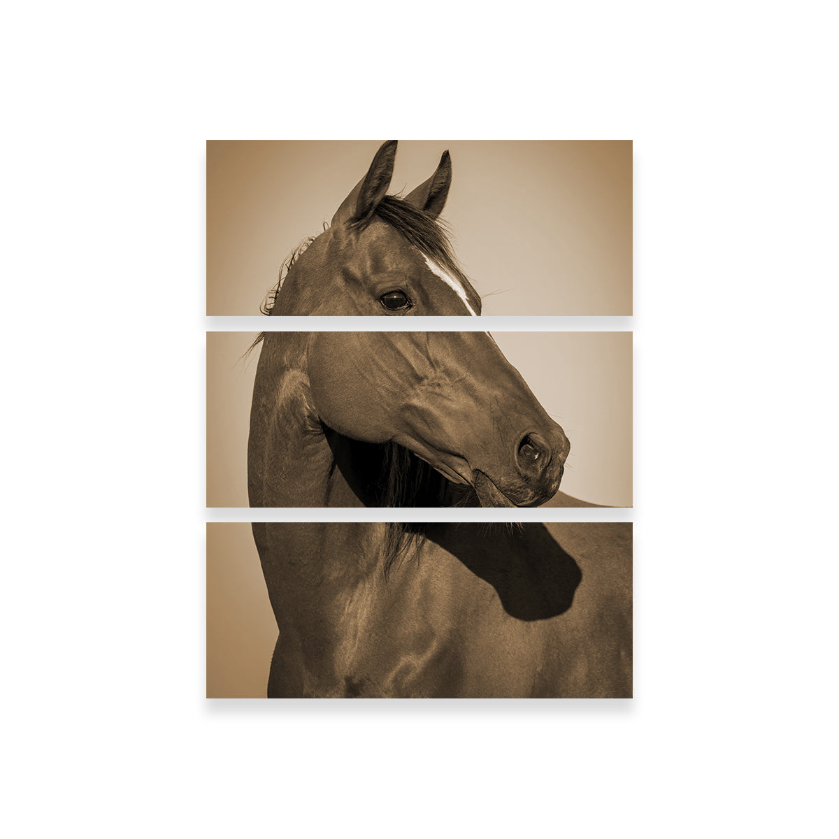Quarter Horse Wall Art