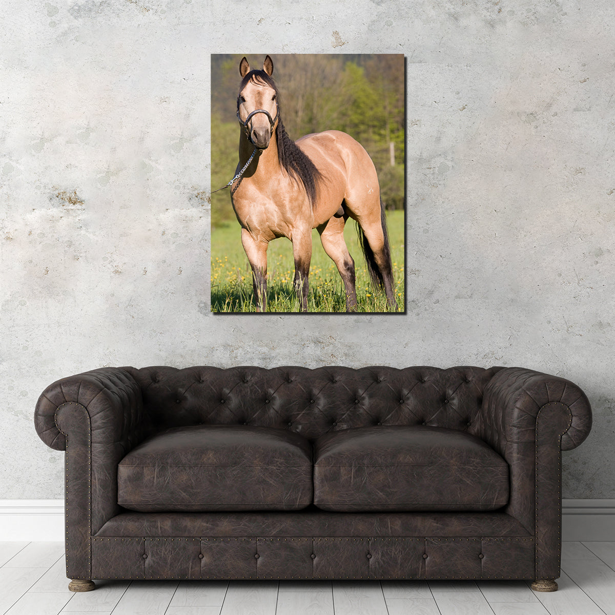 Quarter Horse Posing Wall Art