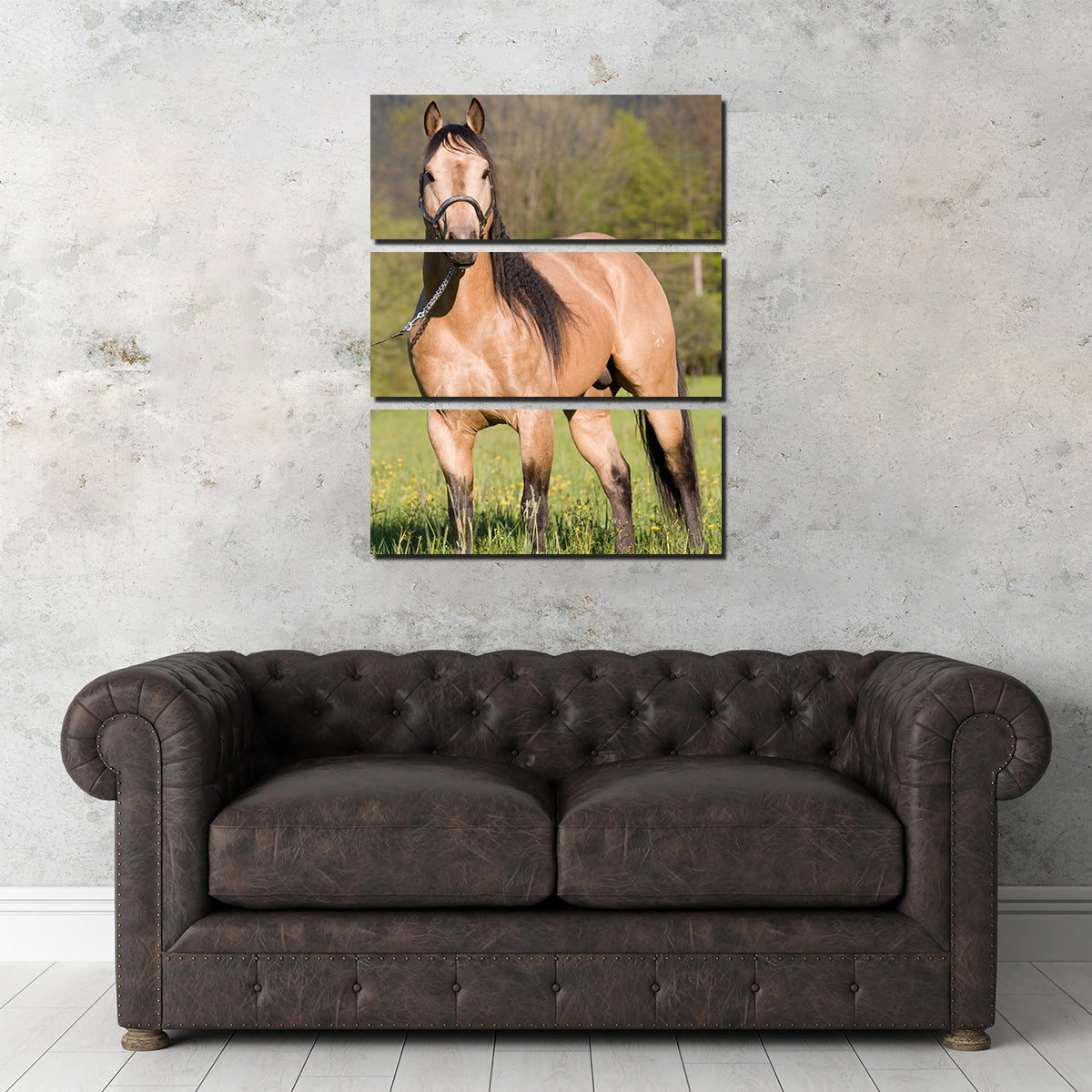 Quarter Horse Posing Wall Art