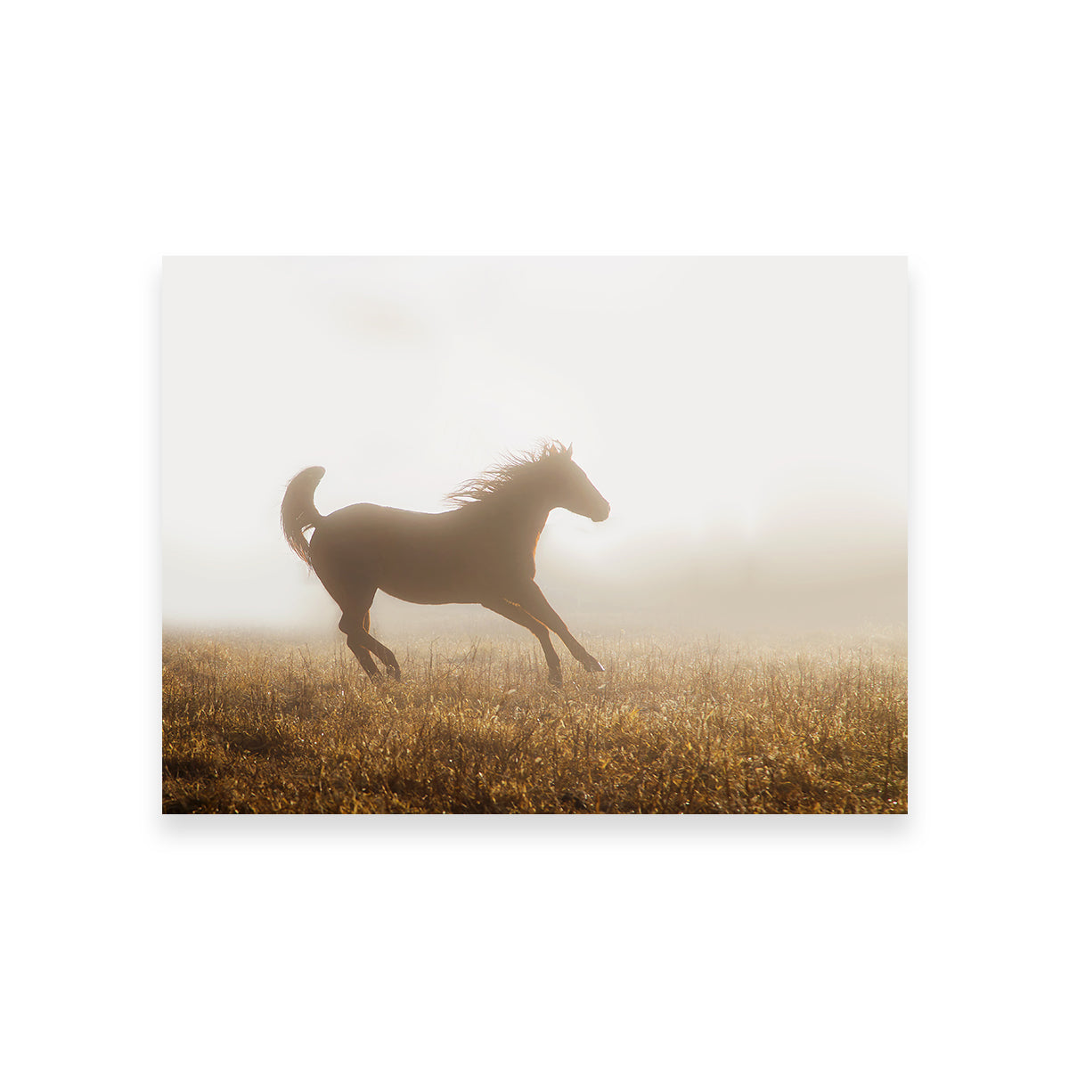 Quarter Horse Running in Fog Wall Art
