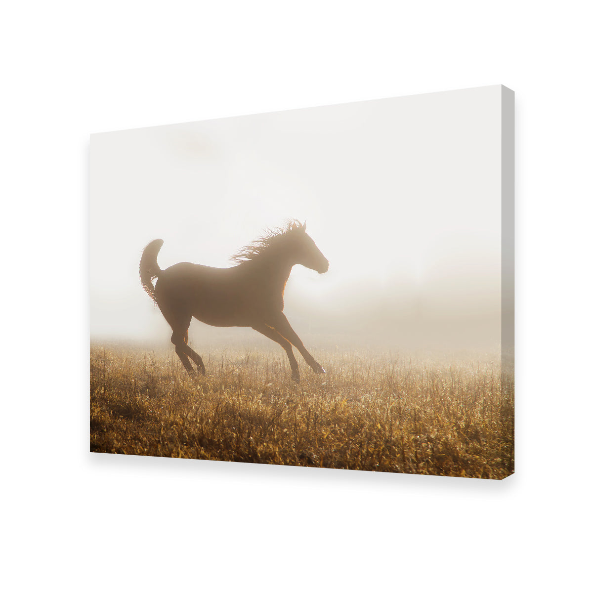 Quarter Horse Running in Fog Wall Art