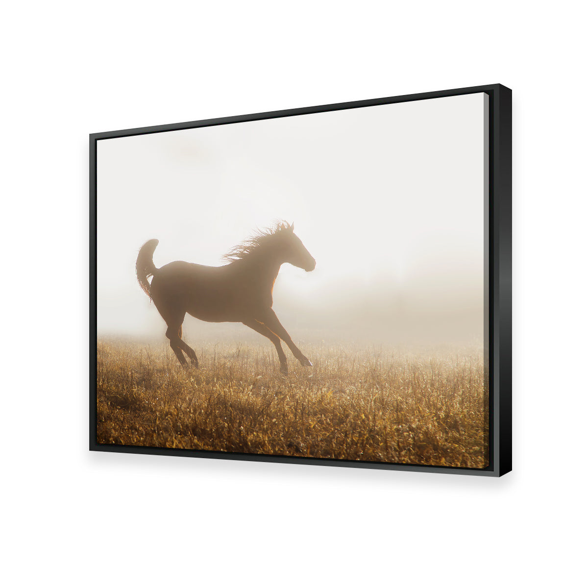 Quarter Horse Running in Fog Wall Art