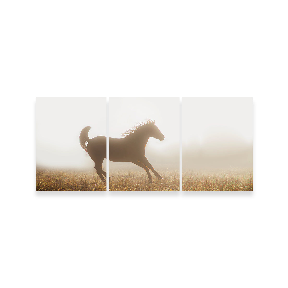Quarter Horse Running in Fog Wall Art