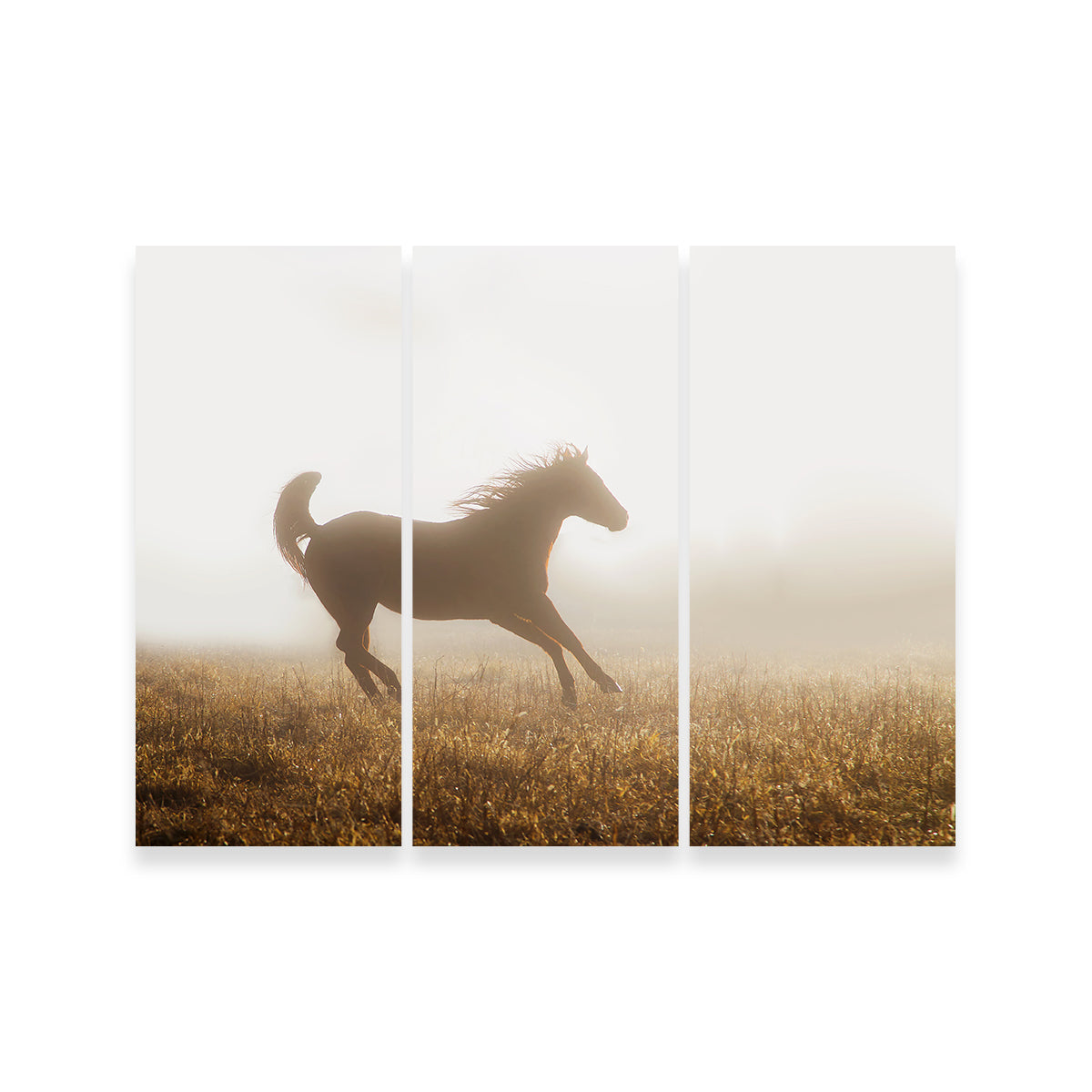 Quarter Horse Running in Fog Wall Art