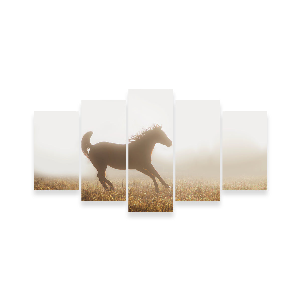 Quarter Horse Running in Fog Wall Art
