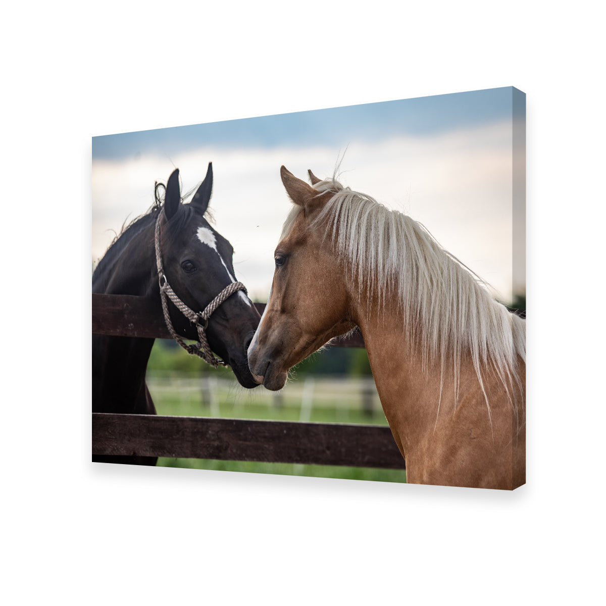 Quarter Horses Wall Art