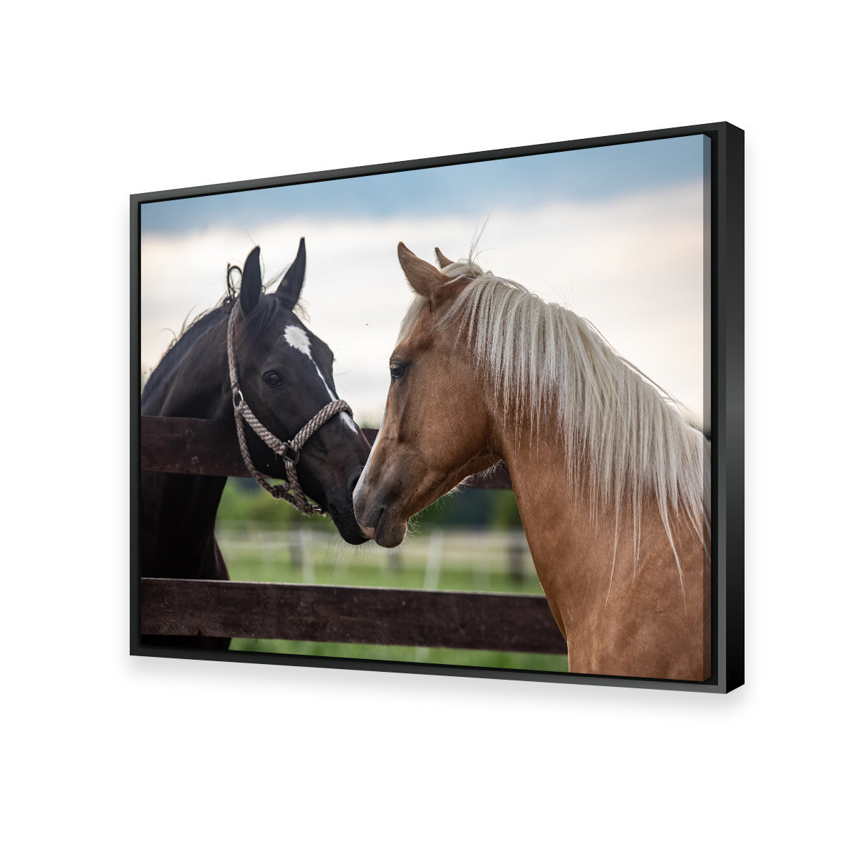 Quarter Horses Wall Art