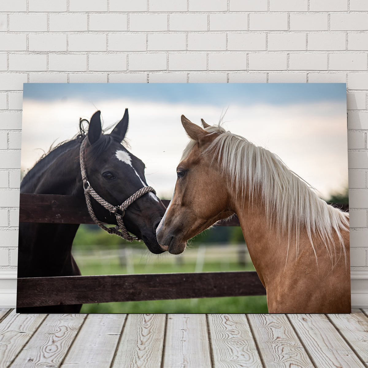 Quarter Horses Wall Art