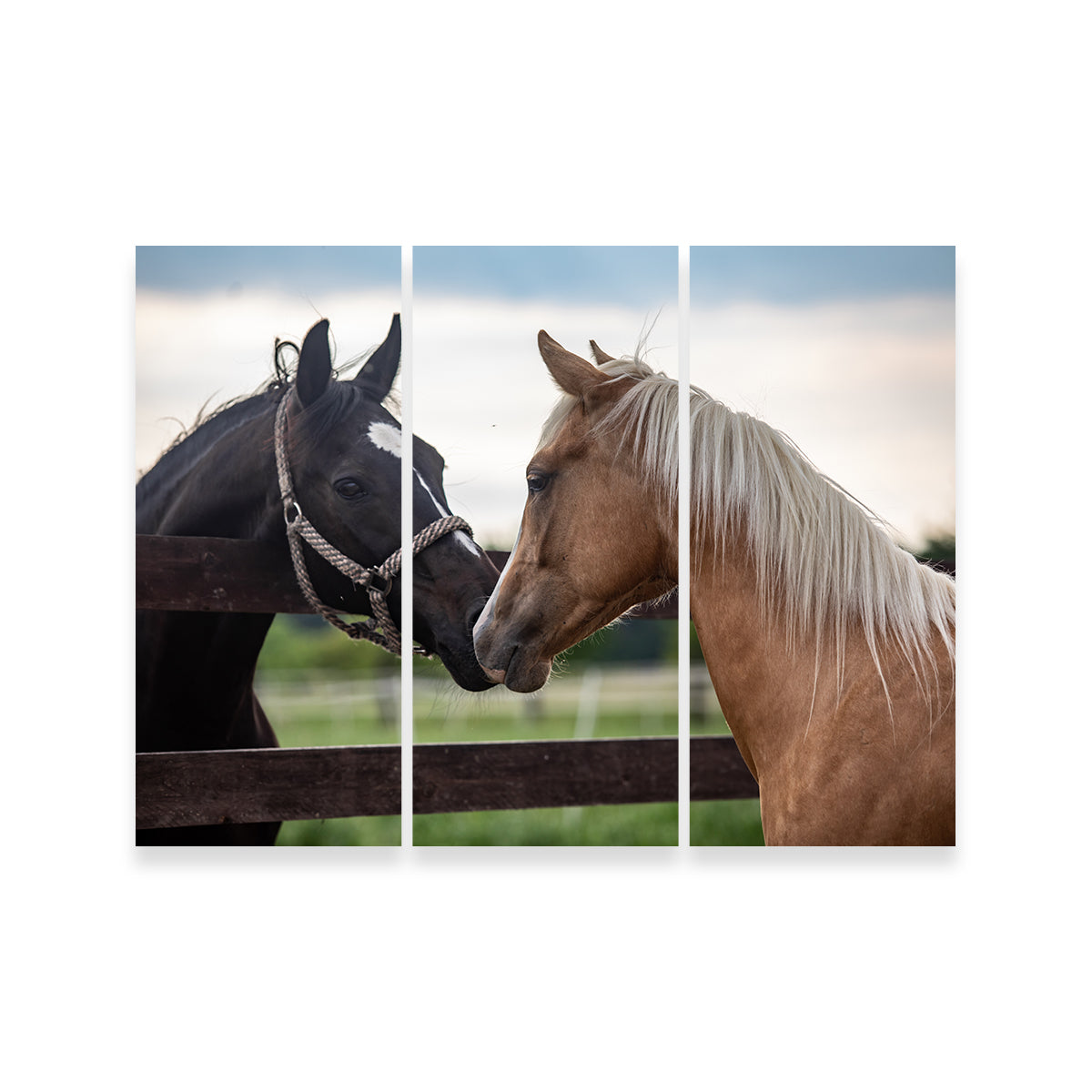 Quarter Horses Wall Art