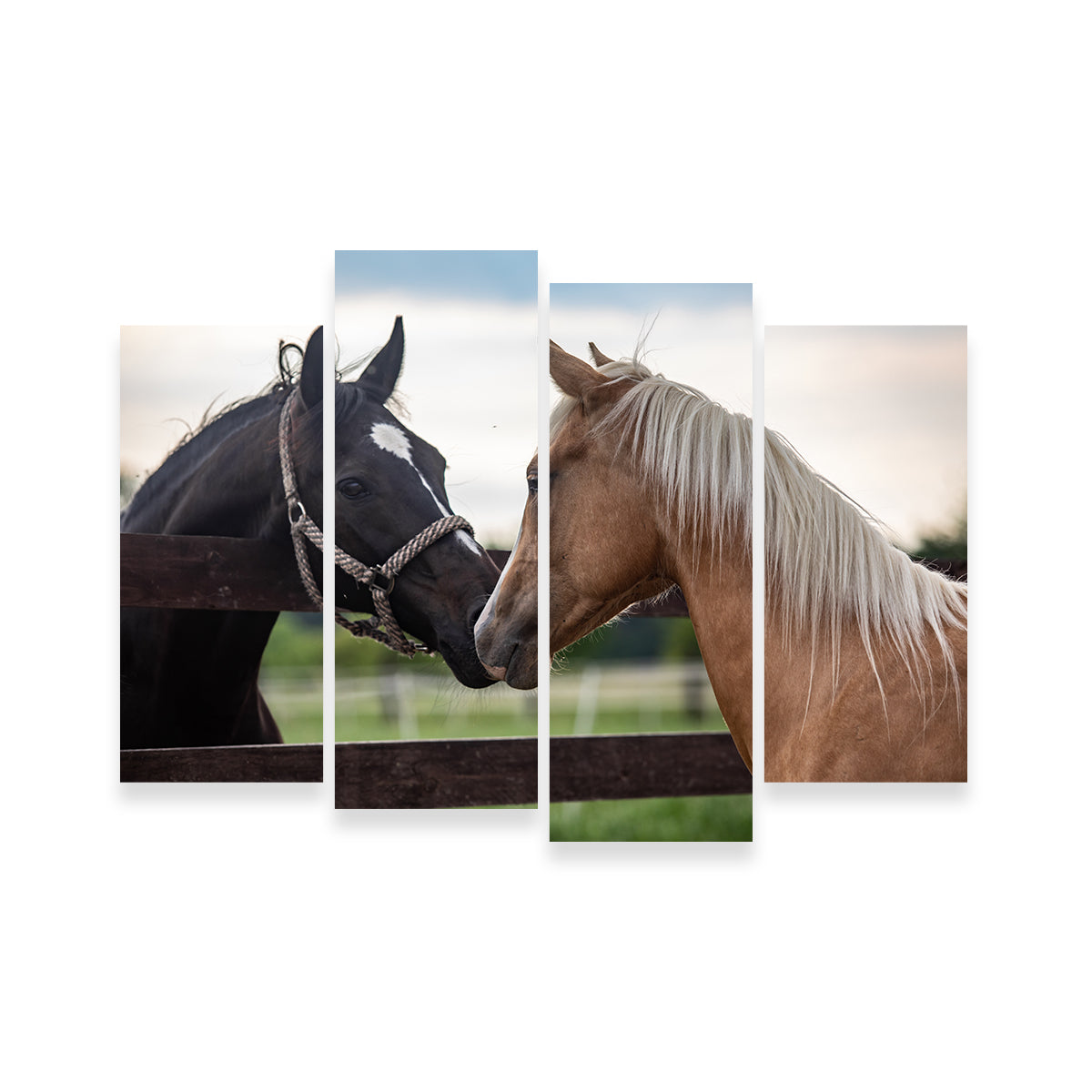 Quarter Horses Wall Art