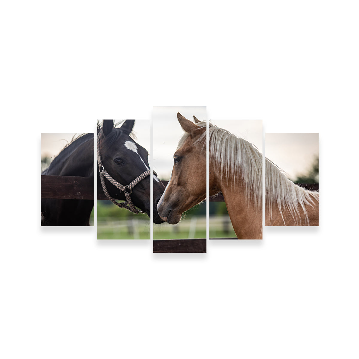 Quarter Horses Wall Art