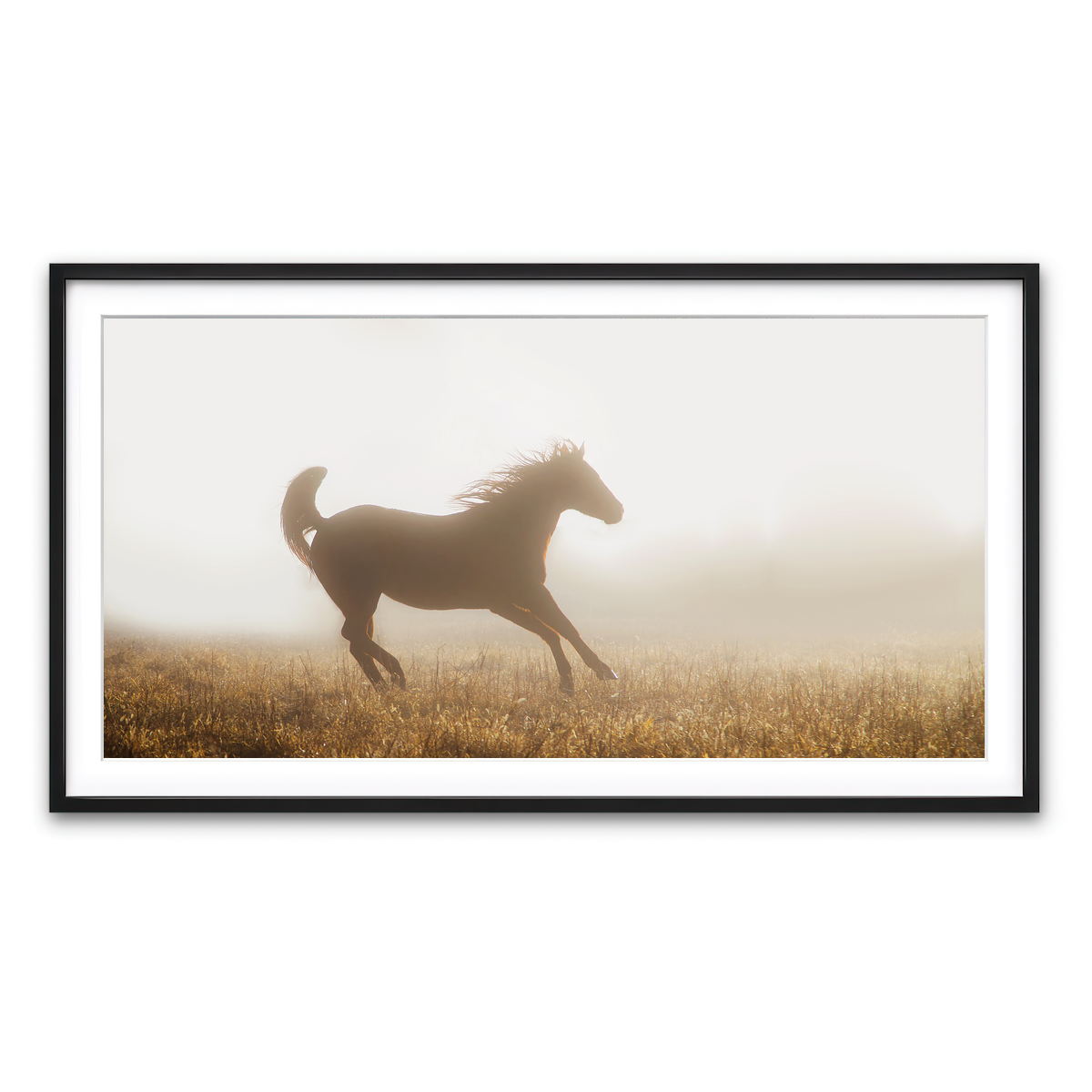 Framed Print 2x1 Black