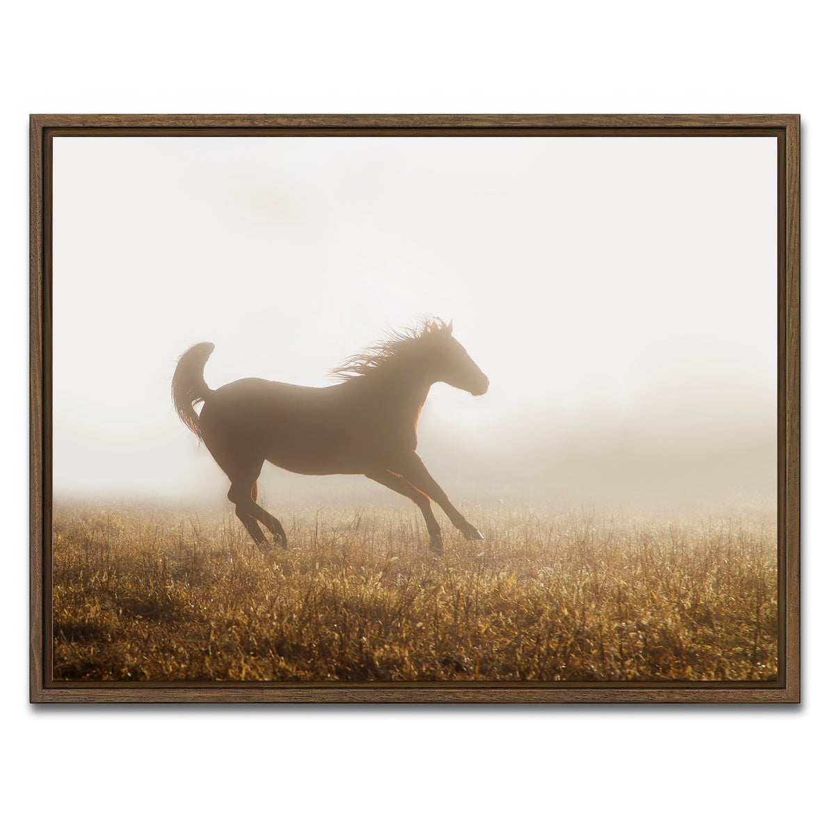 AUTO-MOCKUP WHITE | Quarter Horse Running in Fog | 1 Piece | Walnut Framed Canvas | group=4x3