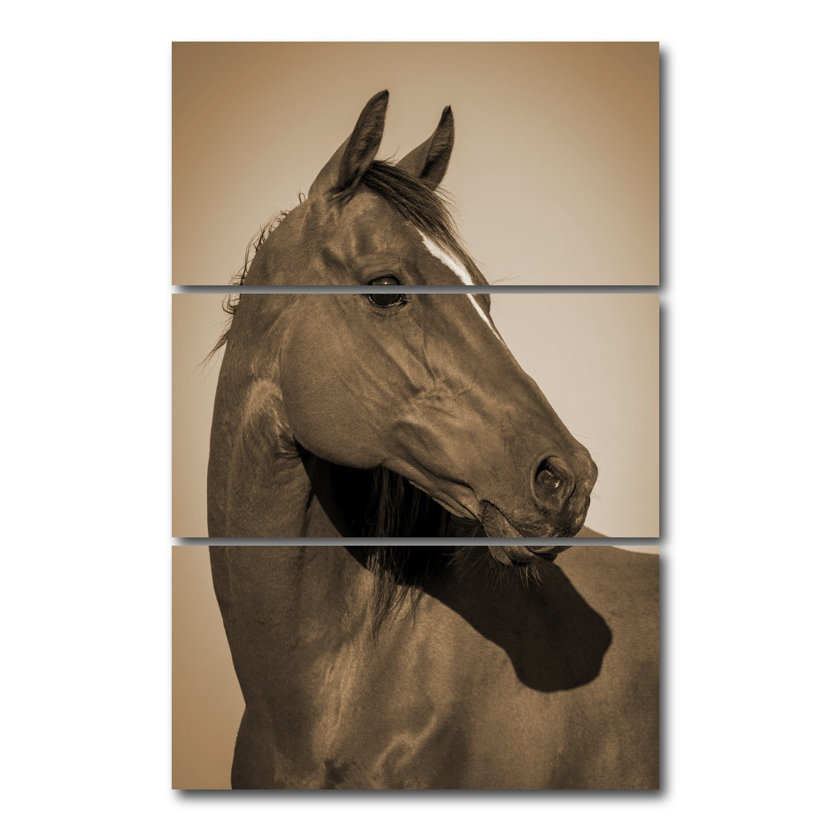 AUTO-MOCKUP WHITE | Quarter Horse | 3 Piece | Gallery Wrap Canvas | group=12x24_stacked