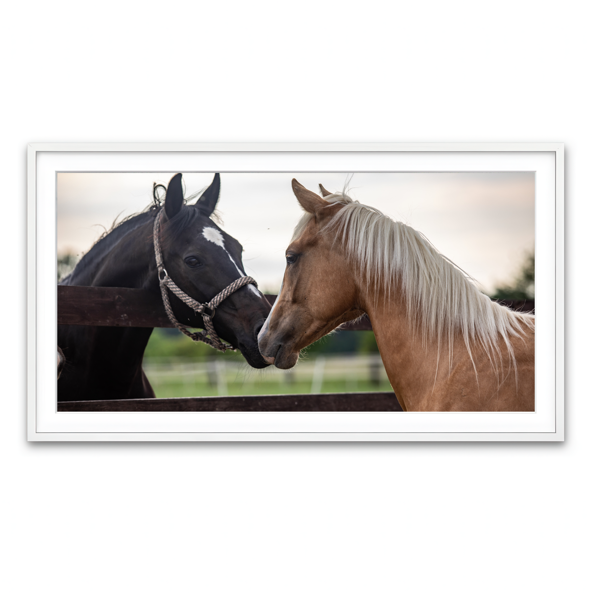 Framed Print 2x1 White