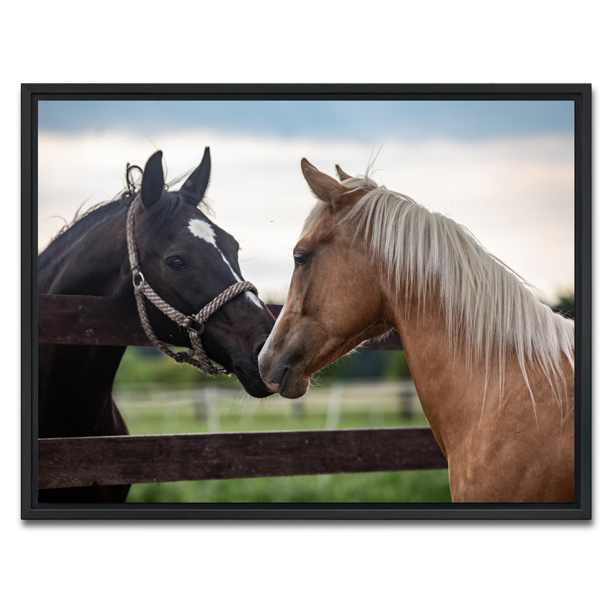 AUTO-MOCKUP WHITE | Quarter Horses | 1 Piece | Black Framed Canvas | group=4x3