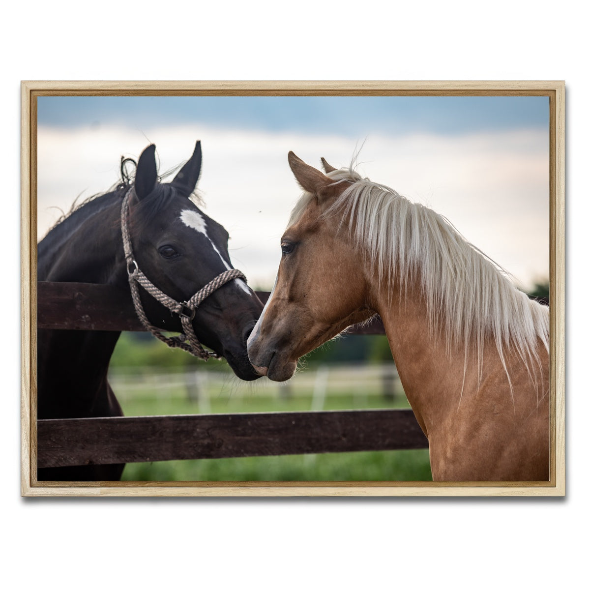 AUTO-MOCKUP WHITE | Quarter Horses | 1 Piece | Natural Framed Canvas | group=4x3