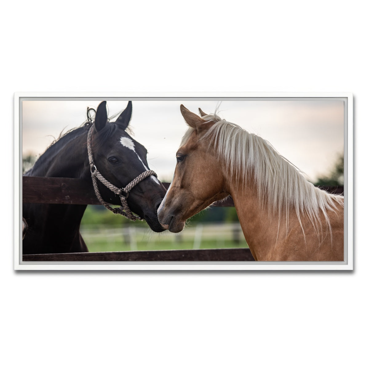 AUTO-MOCKUP WHITE | Quarter Horses | 1 Piece | White Framed Canvas | group=2x1