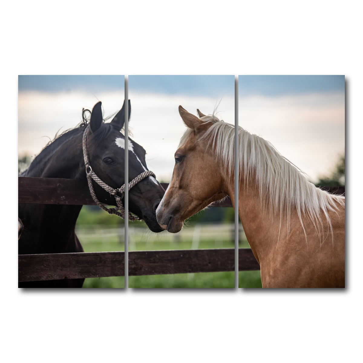 AUTO-MOCKUP WHITE | Quarter Horses | 3 Piece | Gallery Wrap Canvas | group=12x24