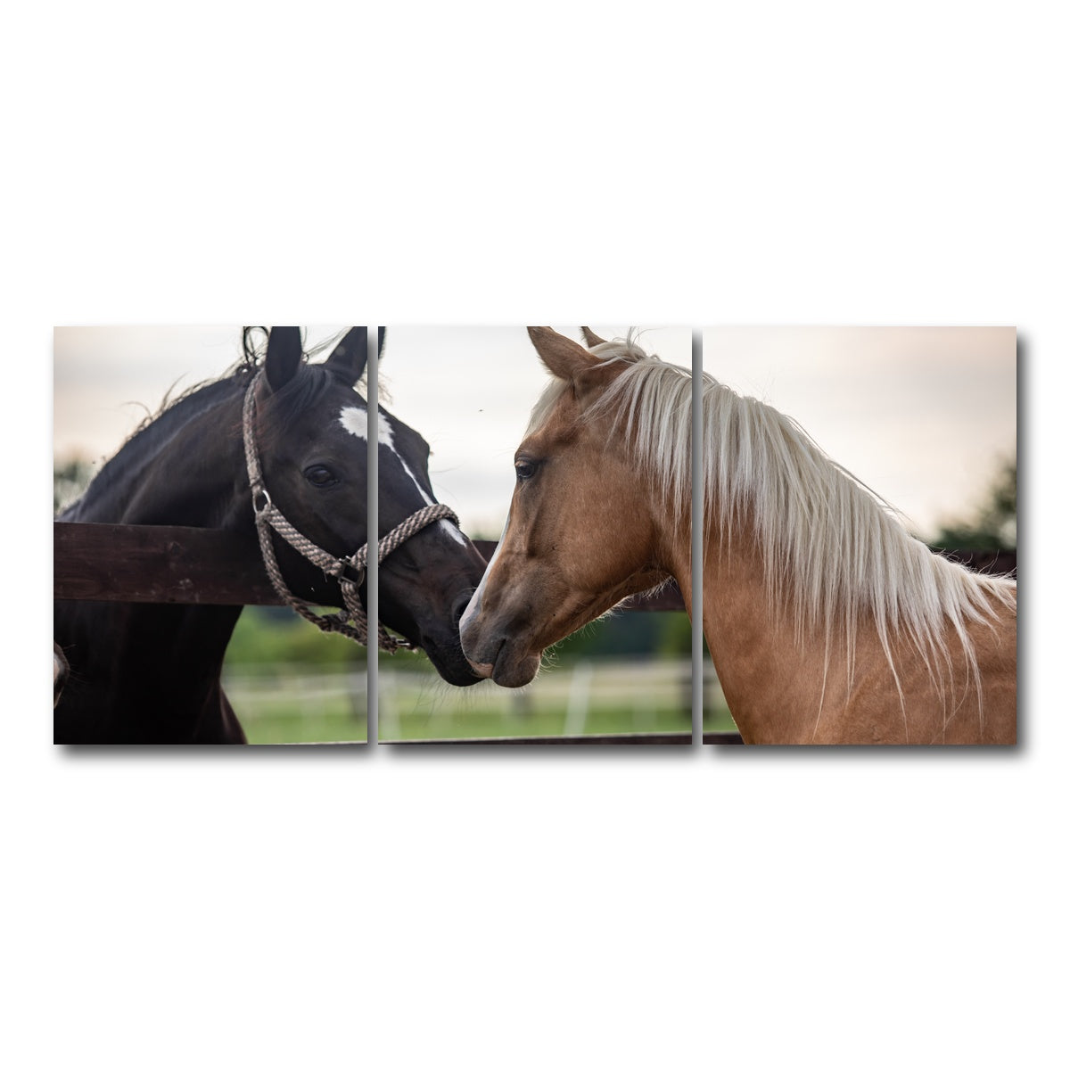 AUTO-MOCKUP WHITE | Quarter Horses | 3 Piece | Gallery Wrap Canvas | group=18x24