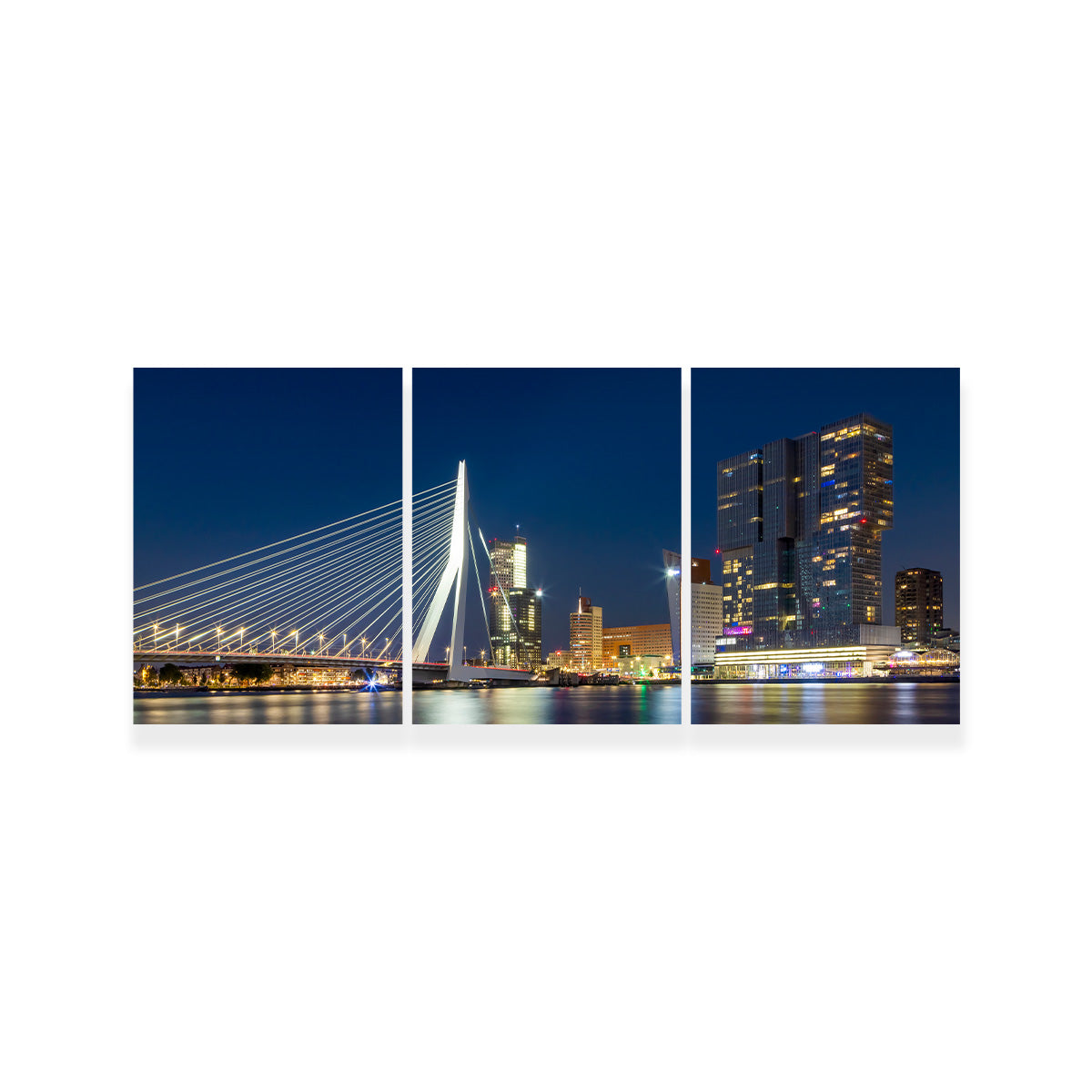 ROTTERDAM Erasmus Bridge at Night Wall Art