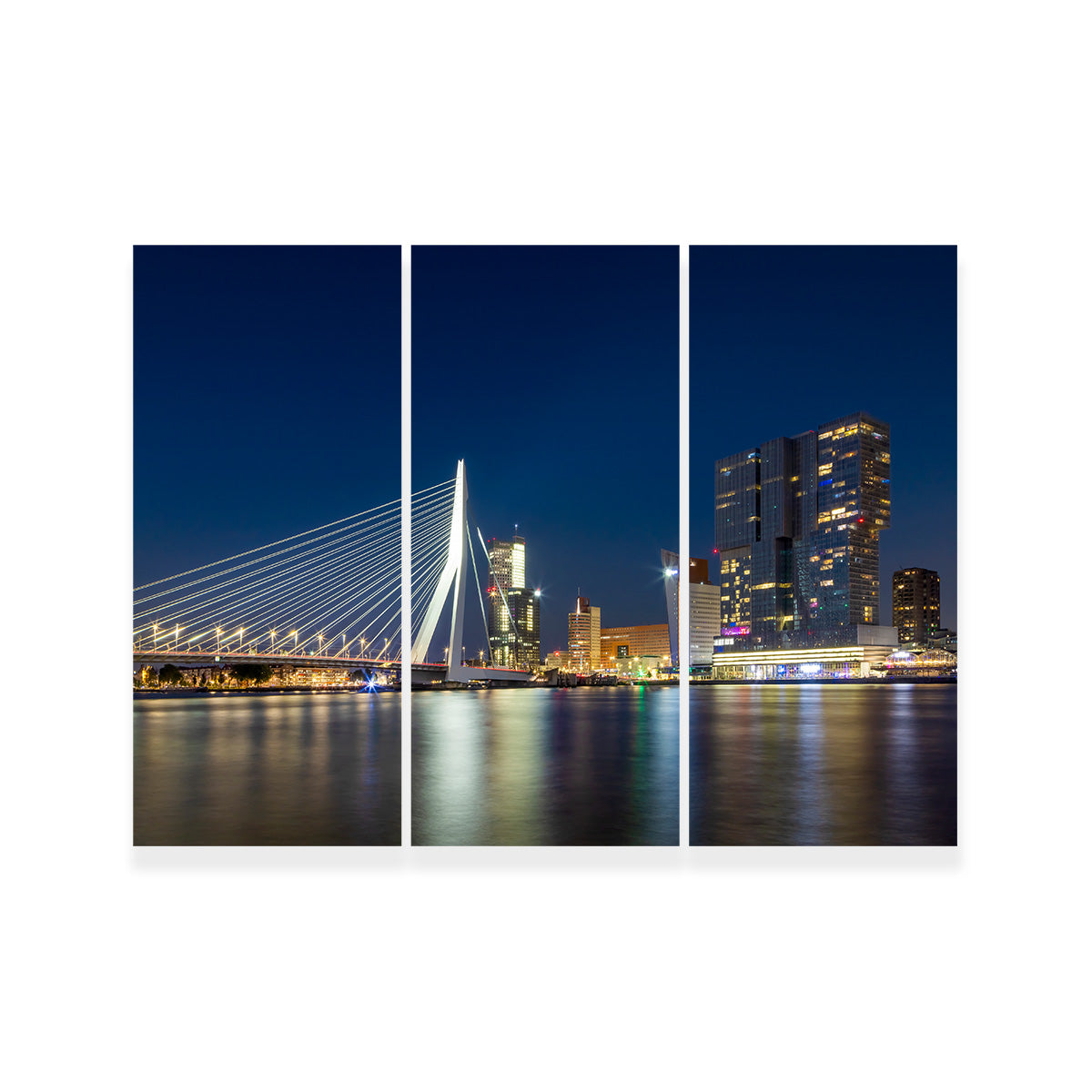 ROTTERDAM Erasmus Bridge at Night Wall Art