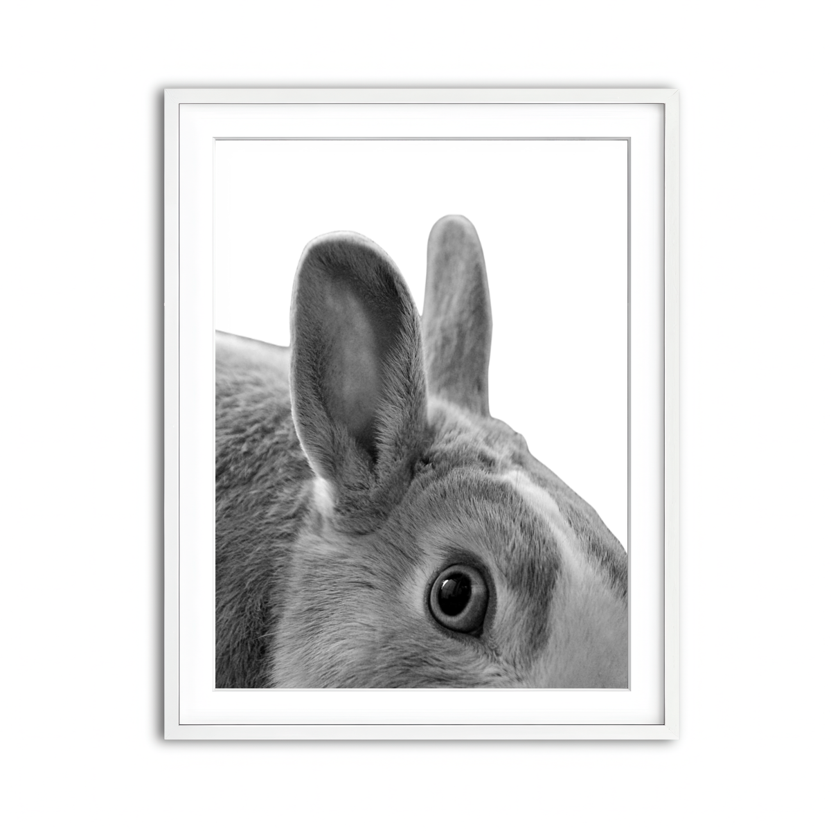 Framed Print 3x4 White