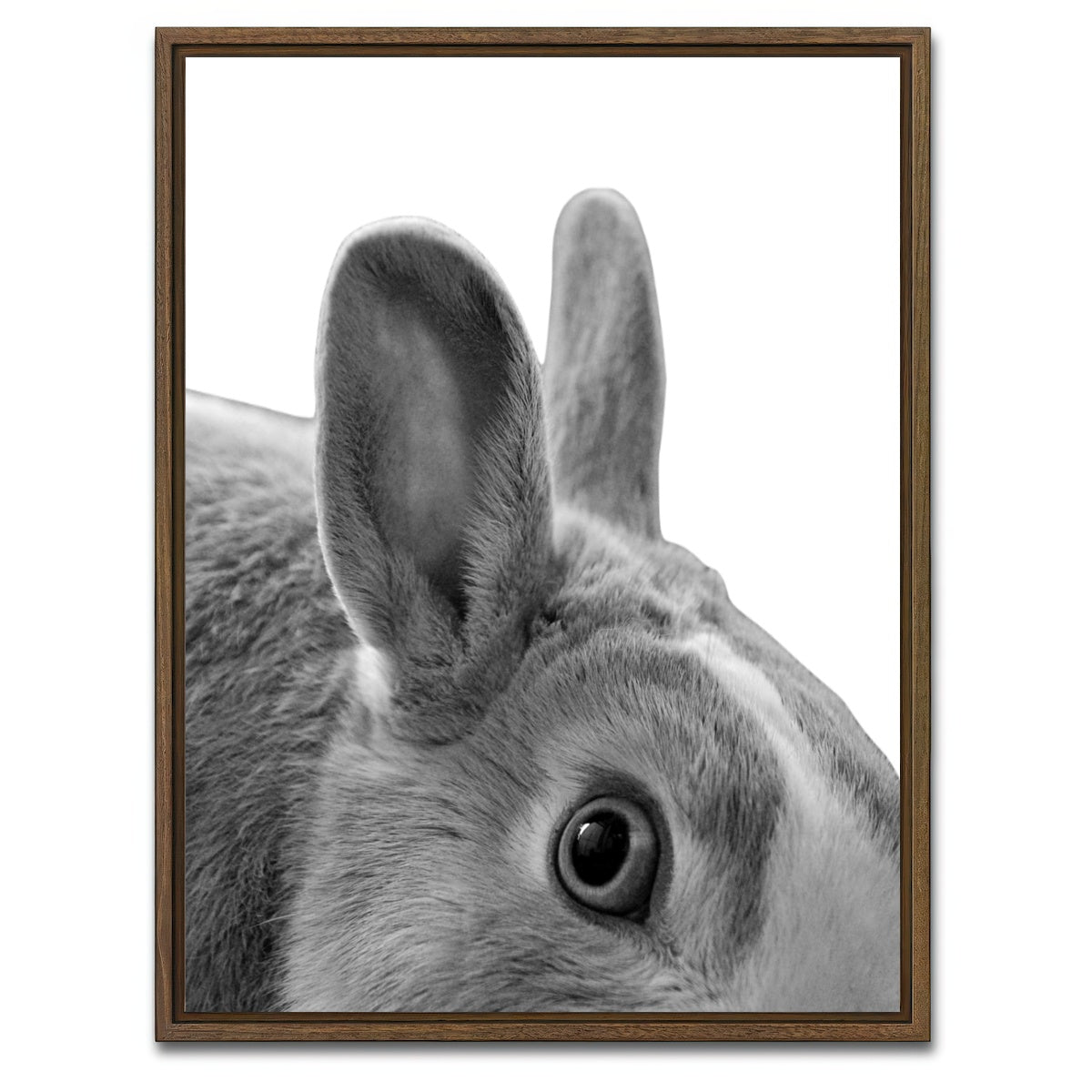 AUTO-MOCKUP WHITE | Rabbit | 1 Piece | Walnut Framed Canvas | group=3x4